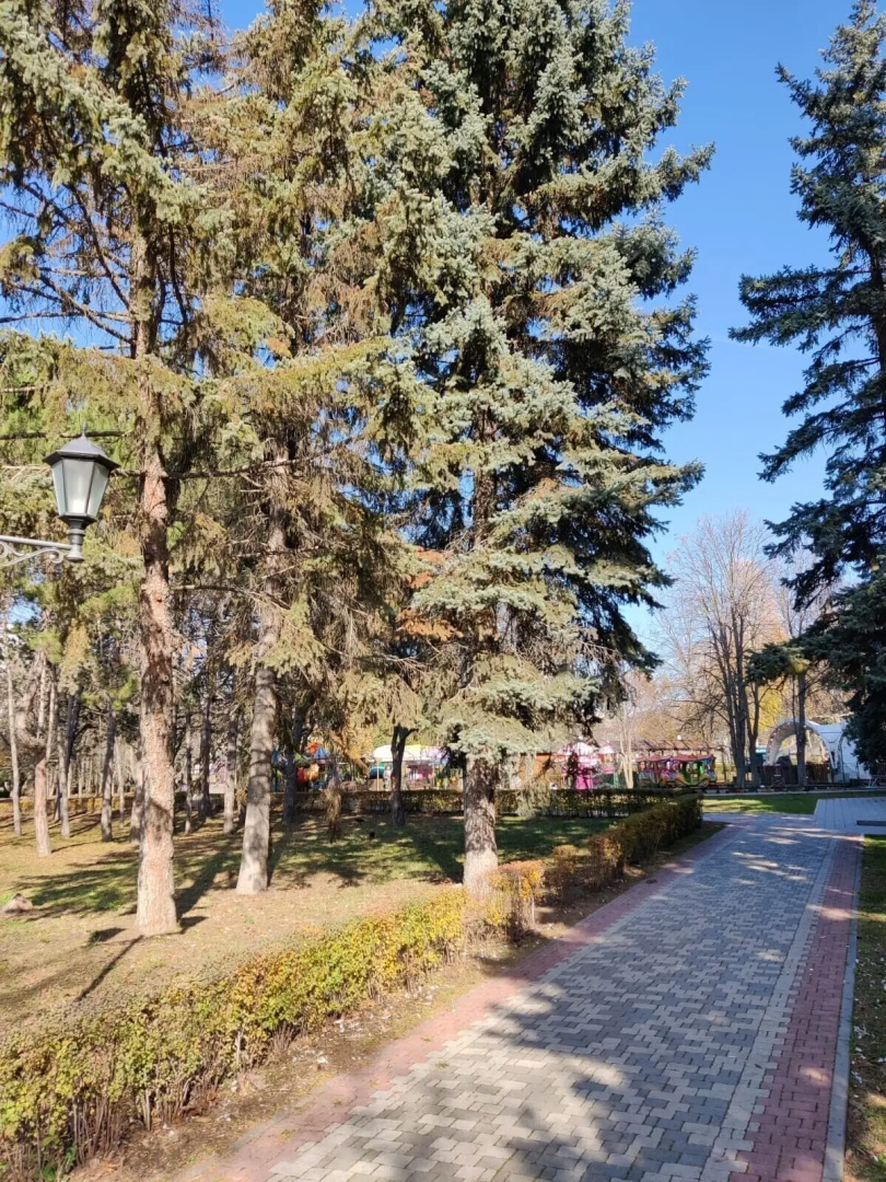 Квартира комфортная стильная возле парка