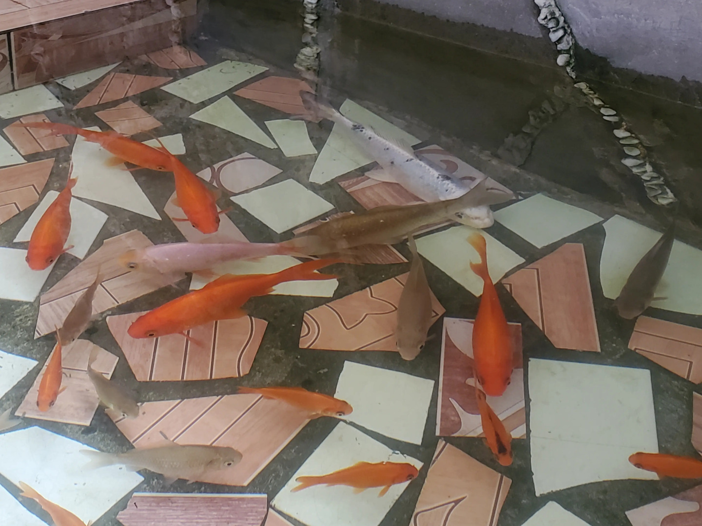 Гостевой дом Алла-Рома