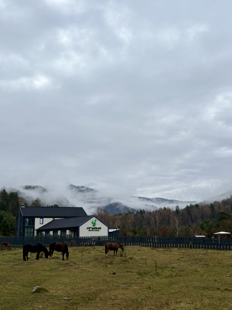 Бутик-отель Игуана