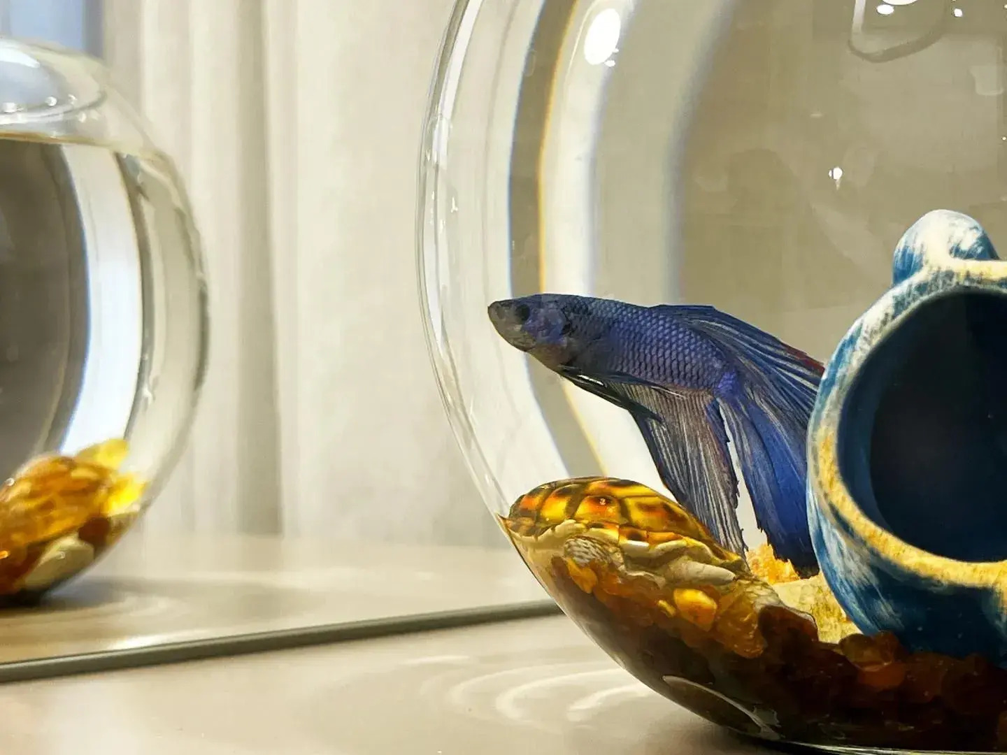 Квартира на Памяти павших в Афганистане 24