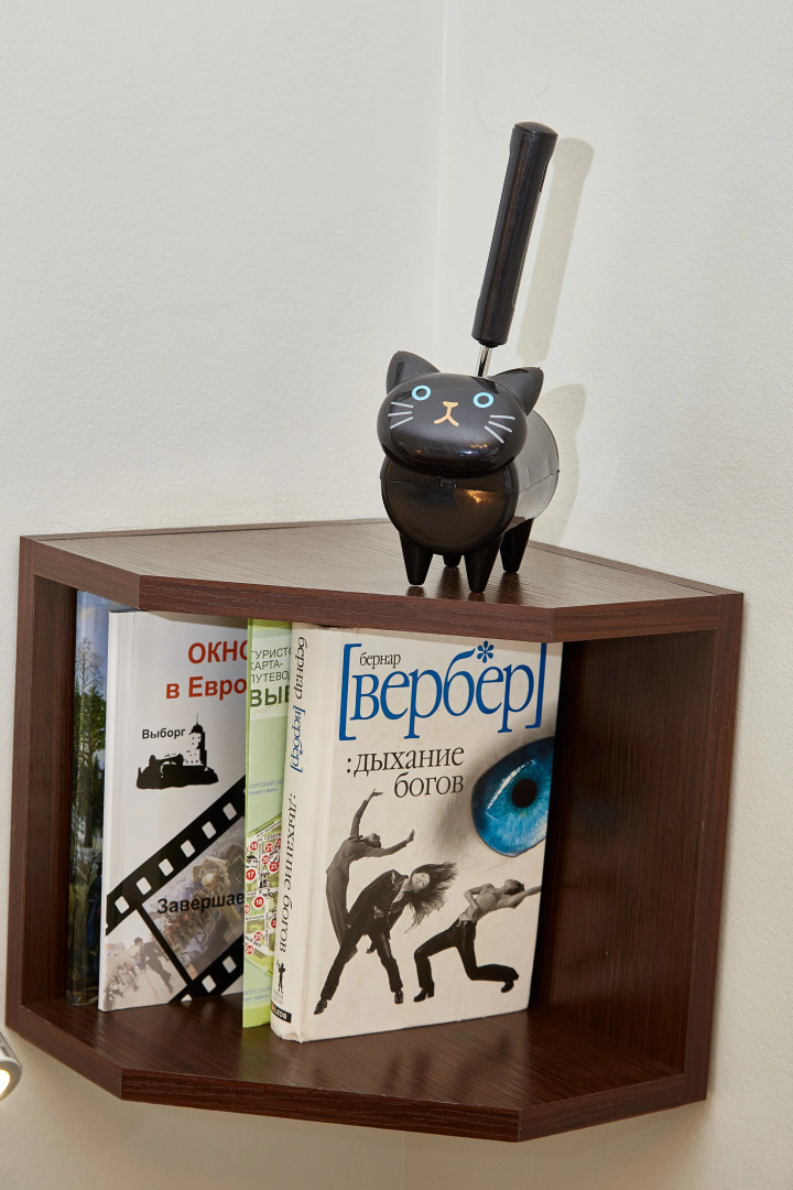 Апартаменты DD.APARTS.VBG : WOW-Студия у Библиотеки ААЛТО