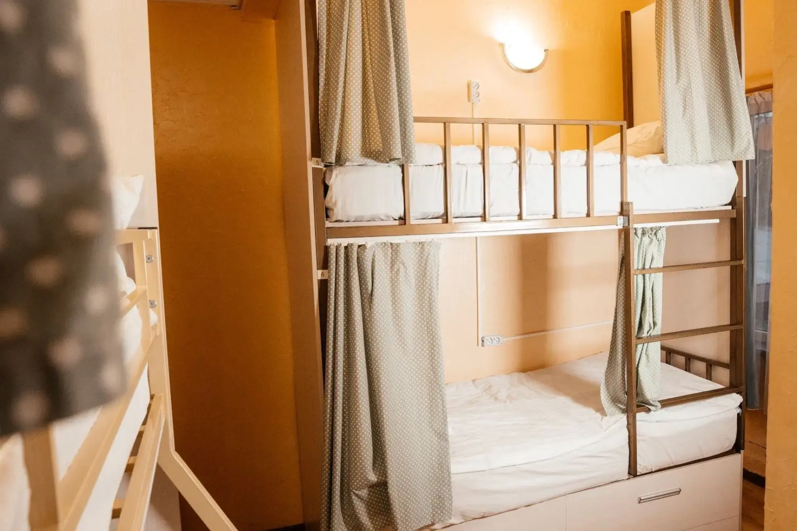 Хостел Botanical