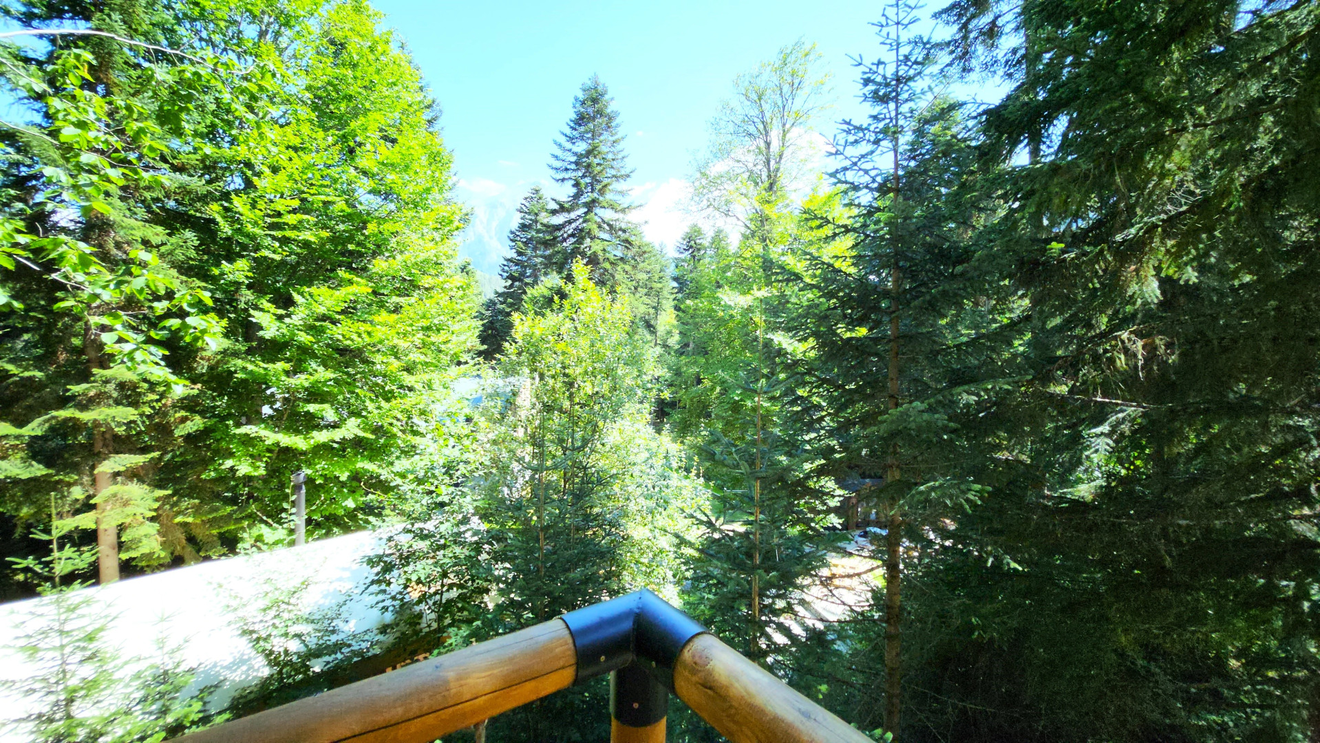 Отель Гoры Village