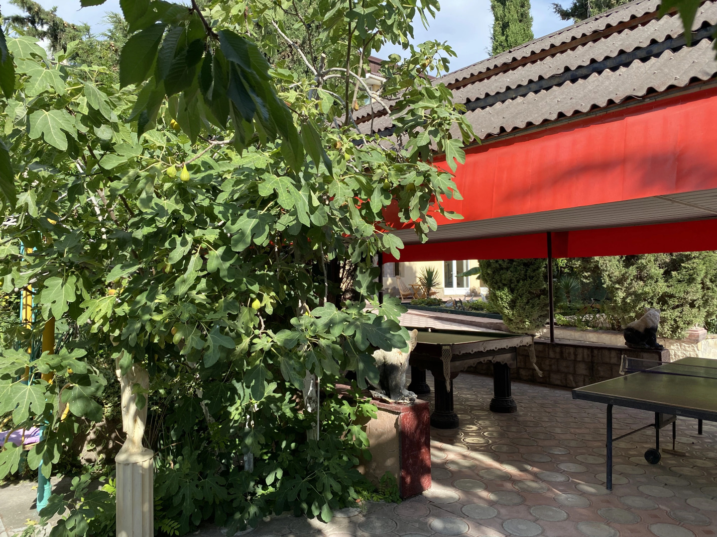 Ласточкино гнездо