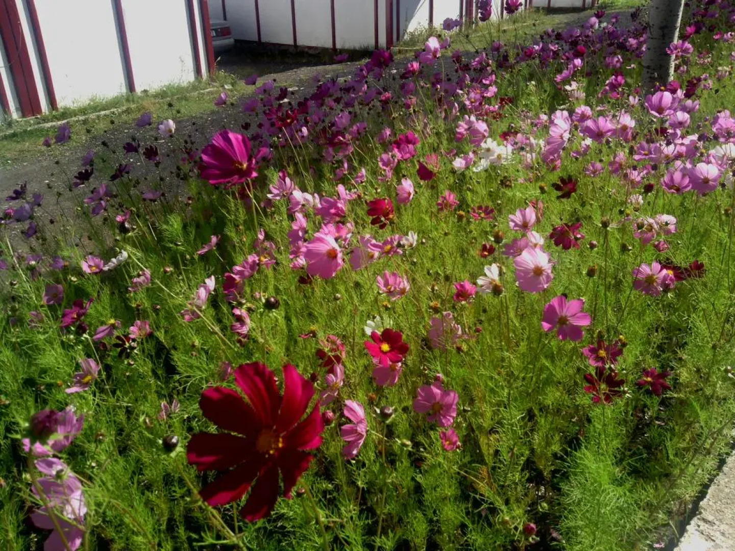 База Отдыха Nirvana