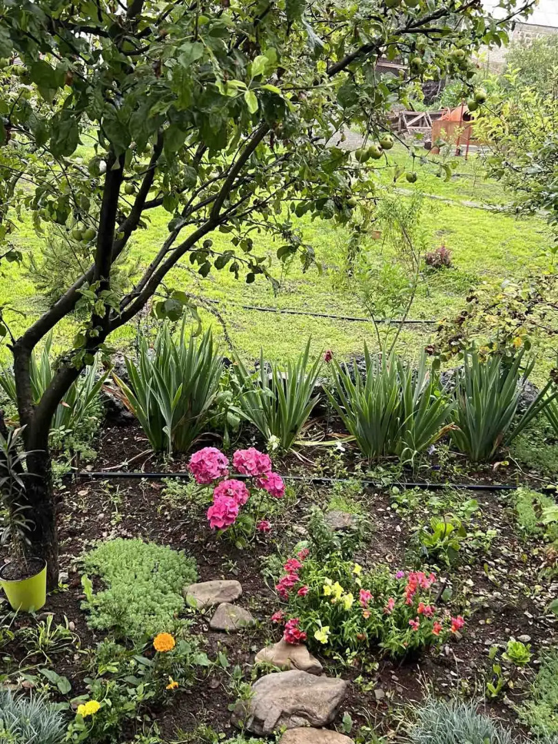 Гостевой дом  Green Agarak