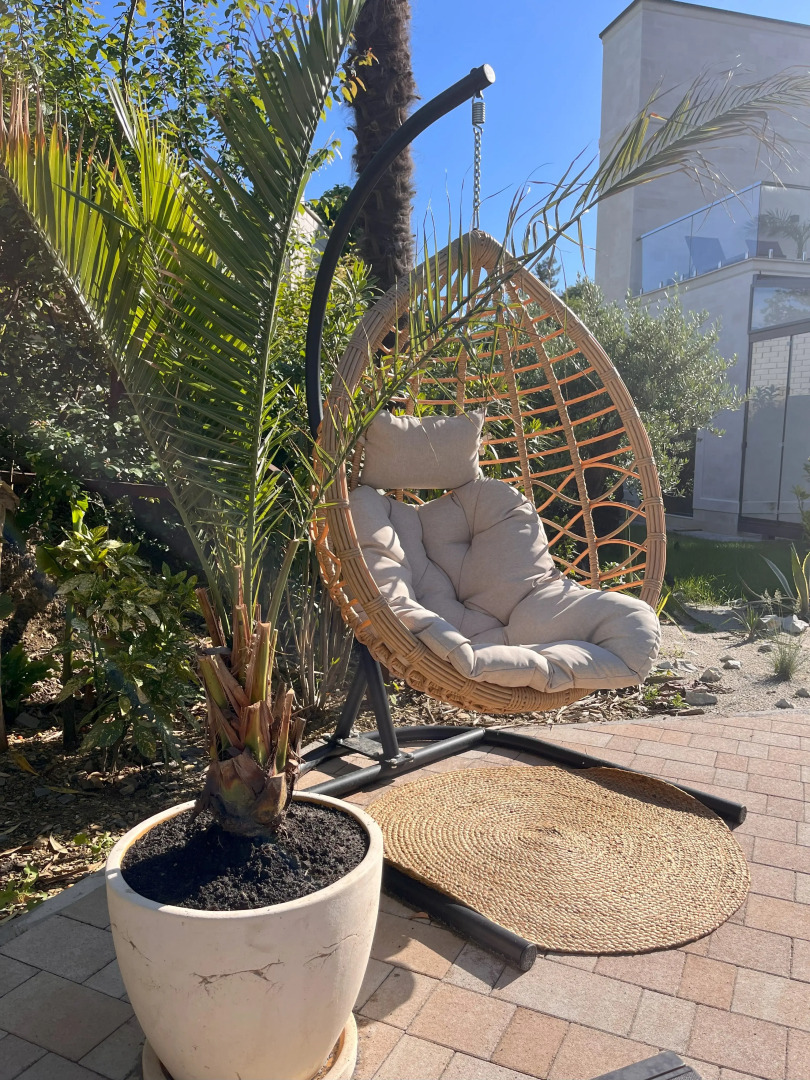 Отель Little Palm