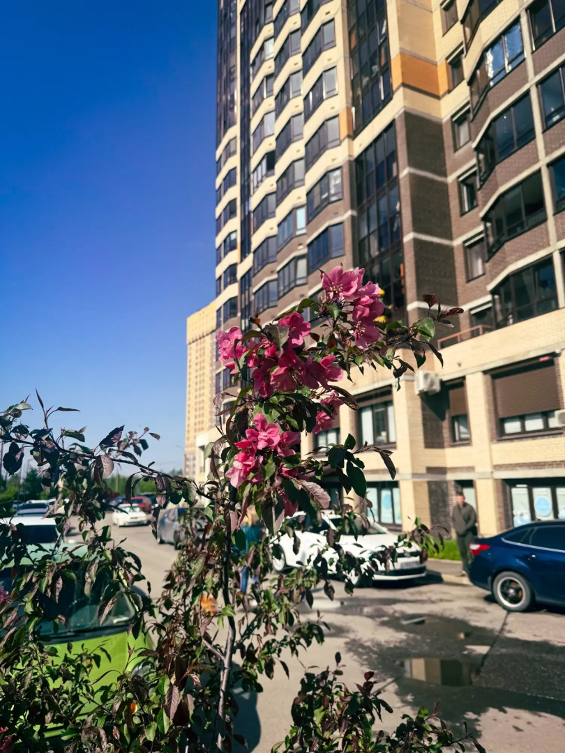 Квартира Свежая дизайнерская у метро