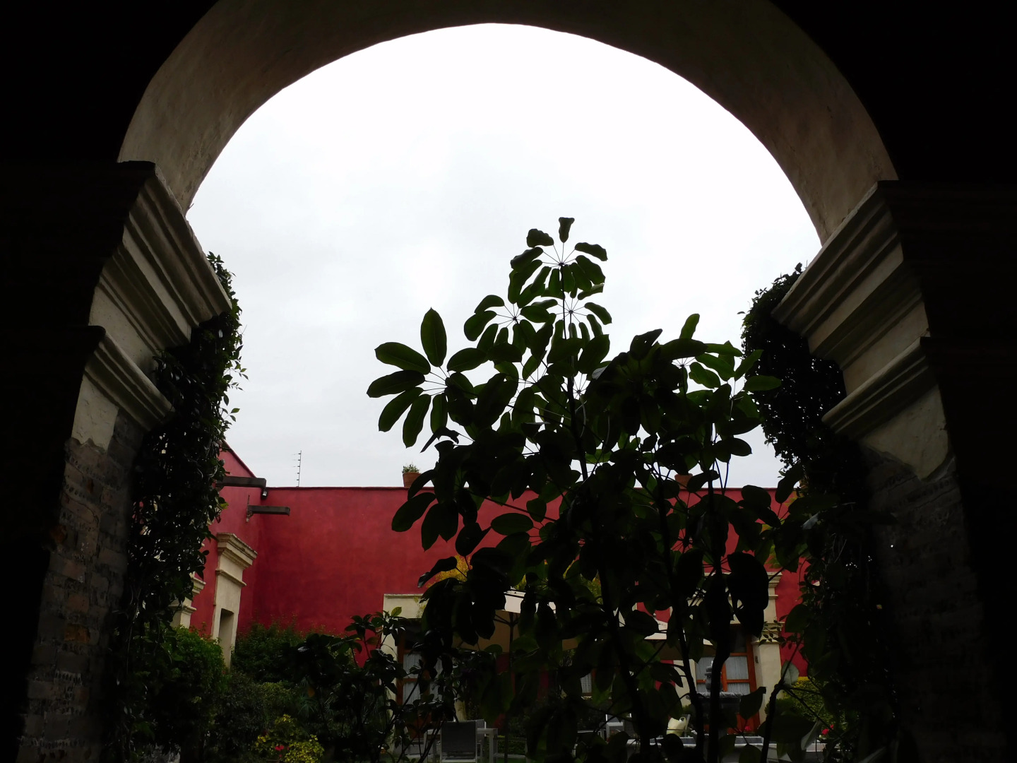 Отель La Quinta Luna Culture By Rotamundos