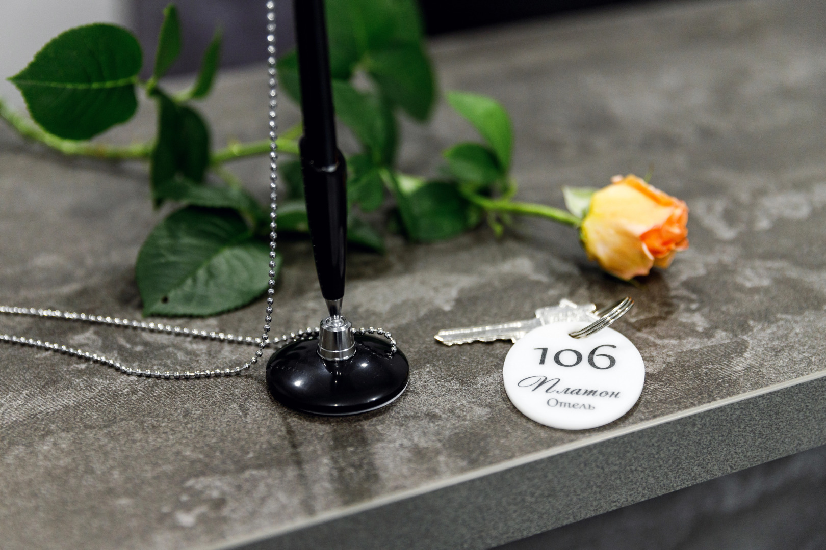 Отель Платон