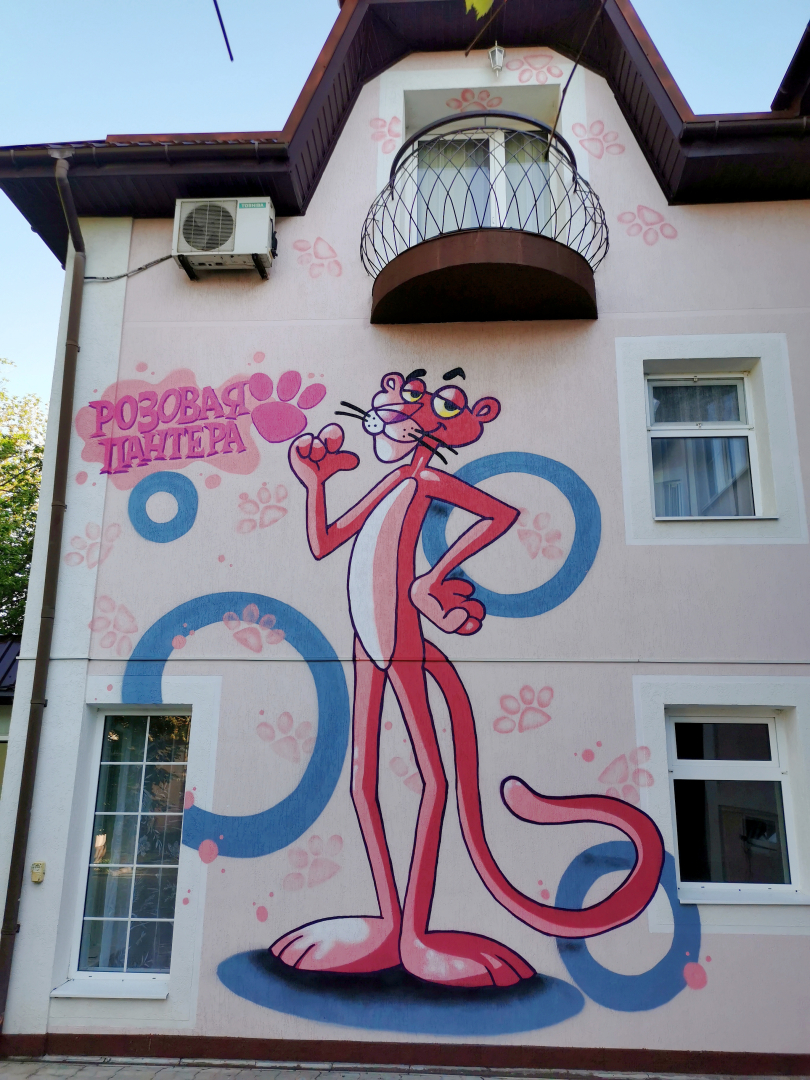 Гостевой дом Розовая пантера