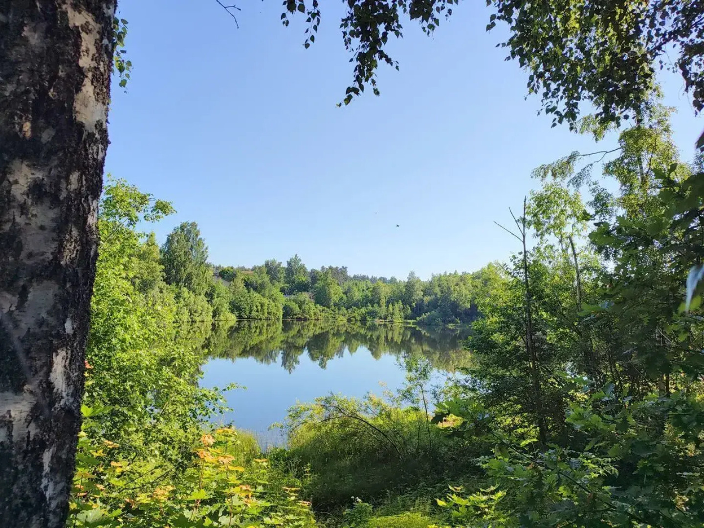 Частный Дом на Лермонтова 13 Поселок Сосново