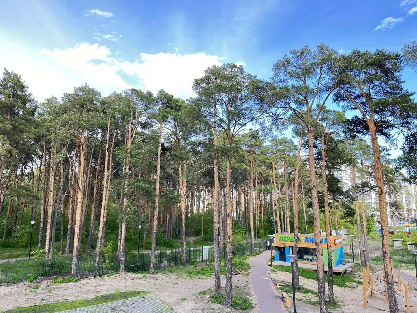 Апартаменты с видом на лес и выходом на пляж