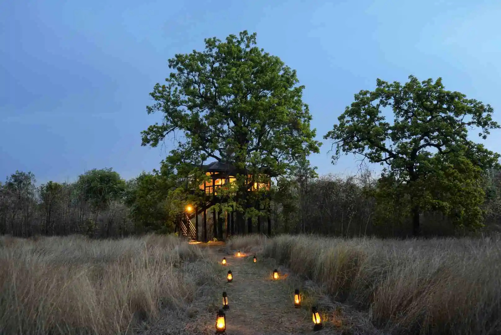 Жилое помещение Pugdundee Safaris- Pench tree