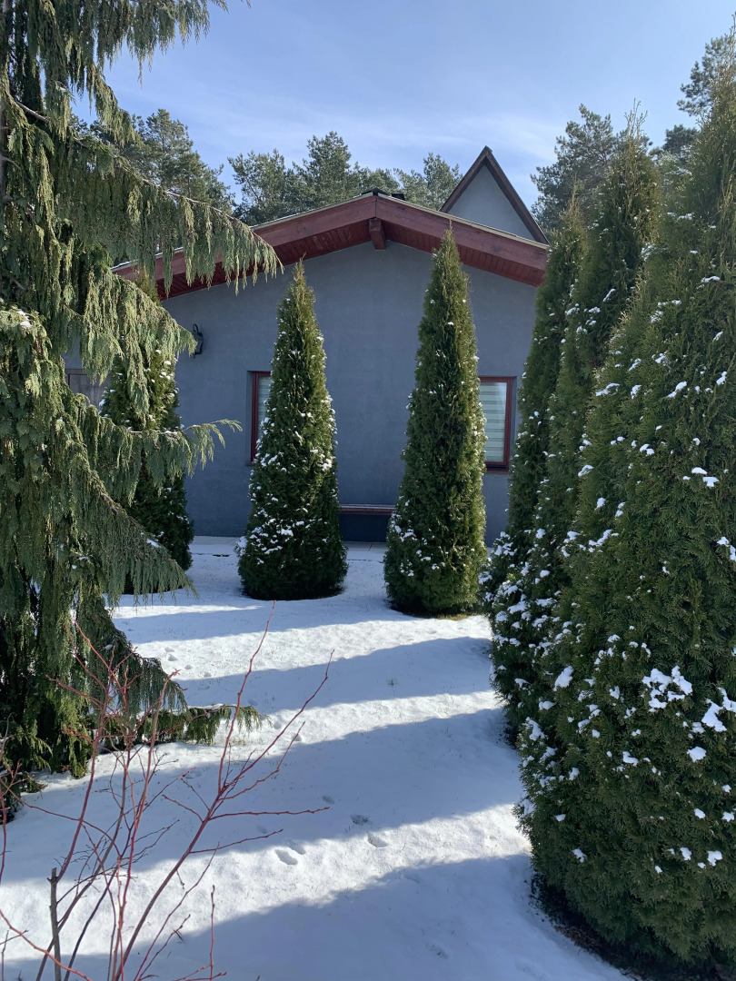 Гостевой дом и баня у Дмитрия