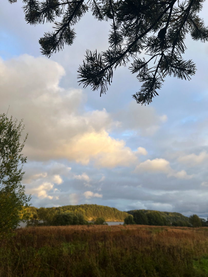 Гостевой дом Ладога Рядом