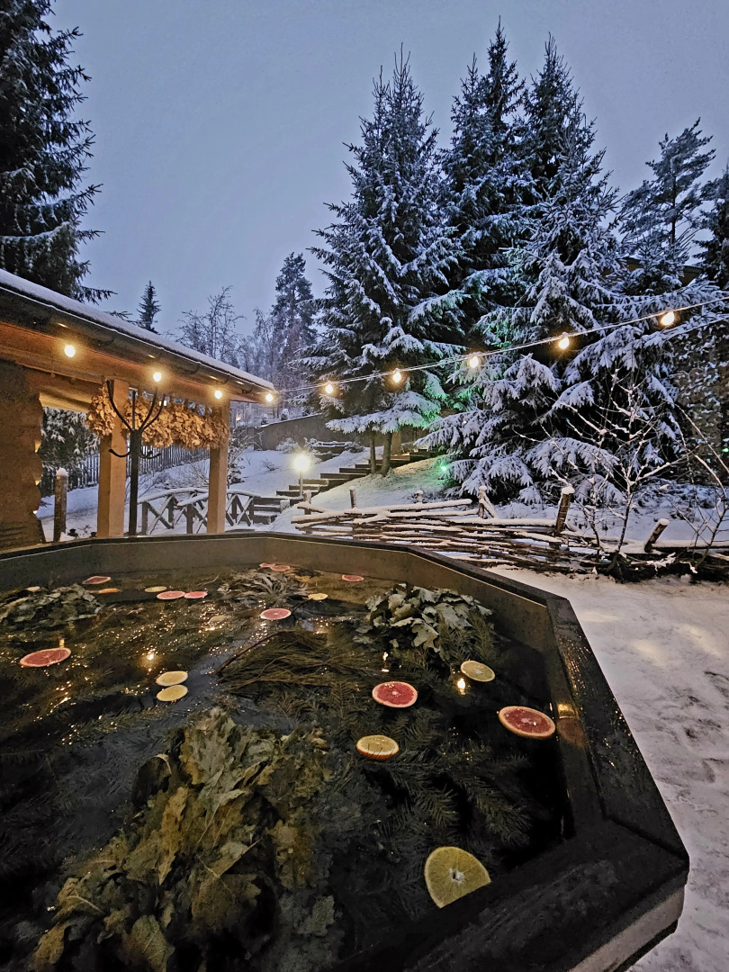 Коттедж Черничный Склон Forest House