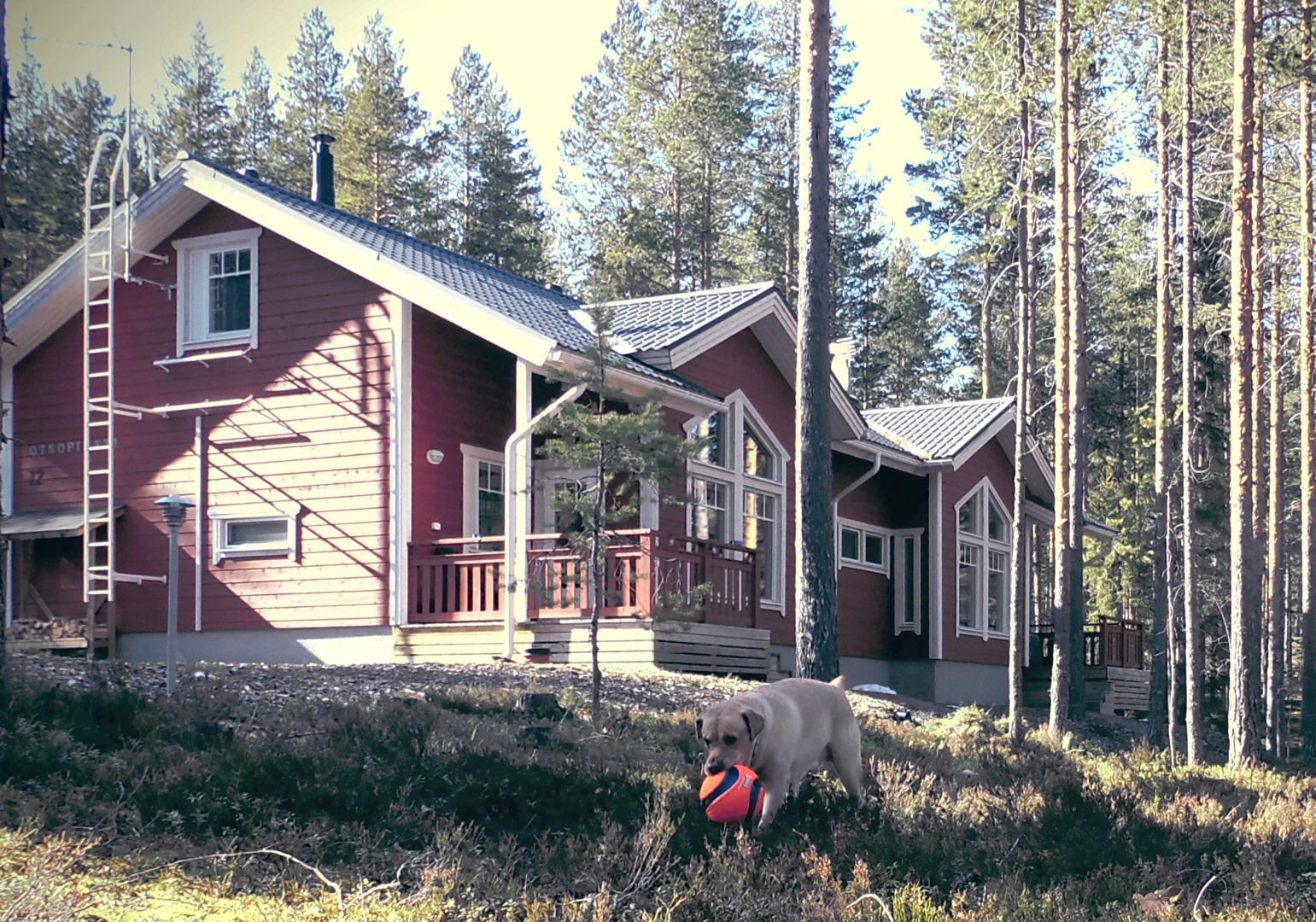 Апартаменты OtsoPirtti: Maria and Otso