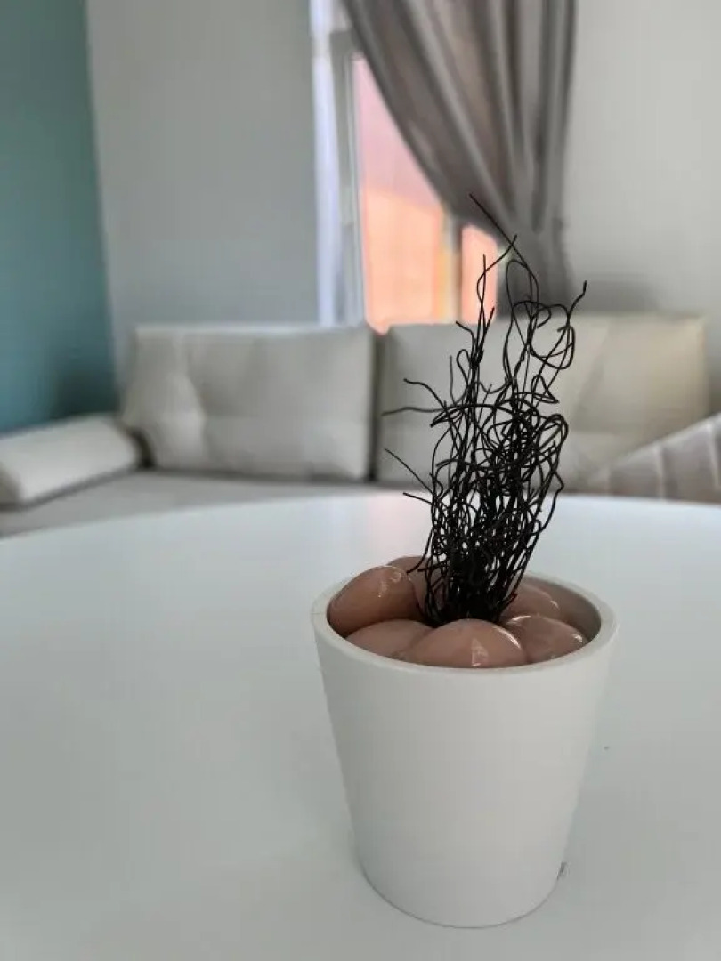 Апартаменты Крыша 4