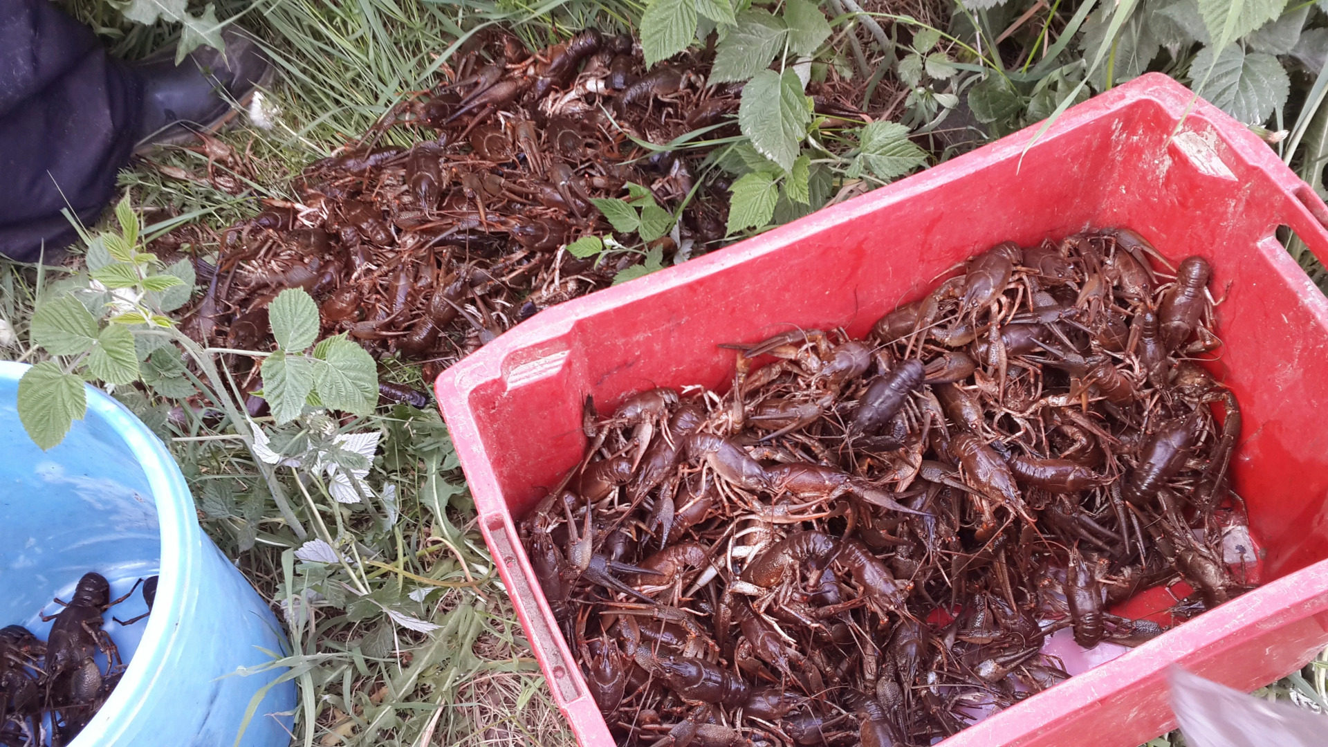 База Отдыха Святое Озеро