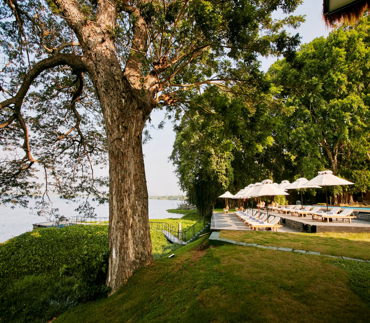 Отель EKHO Safari Tissa