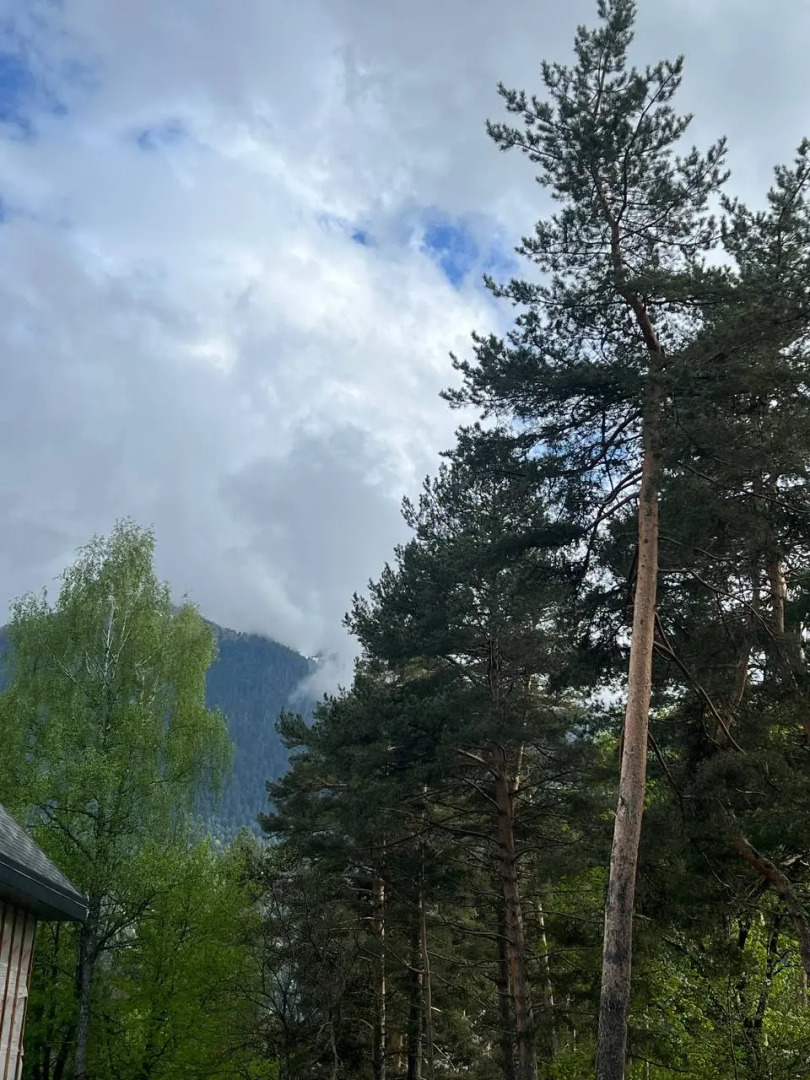 База отдыха Сосновка