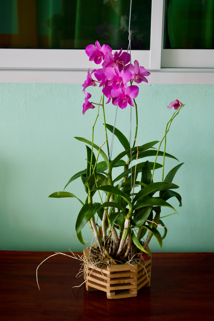 Мини-отель Jardin