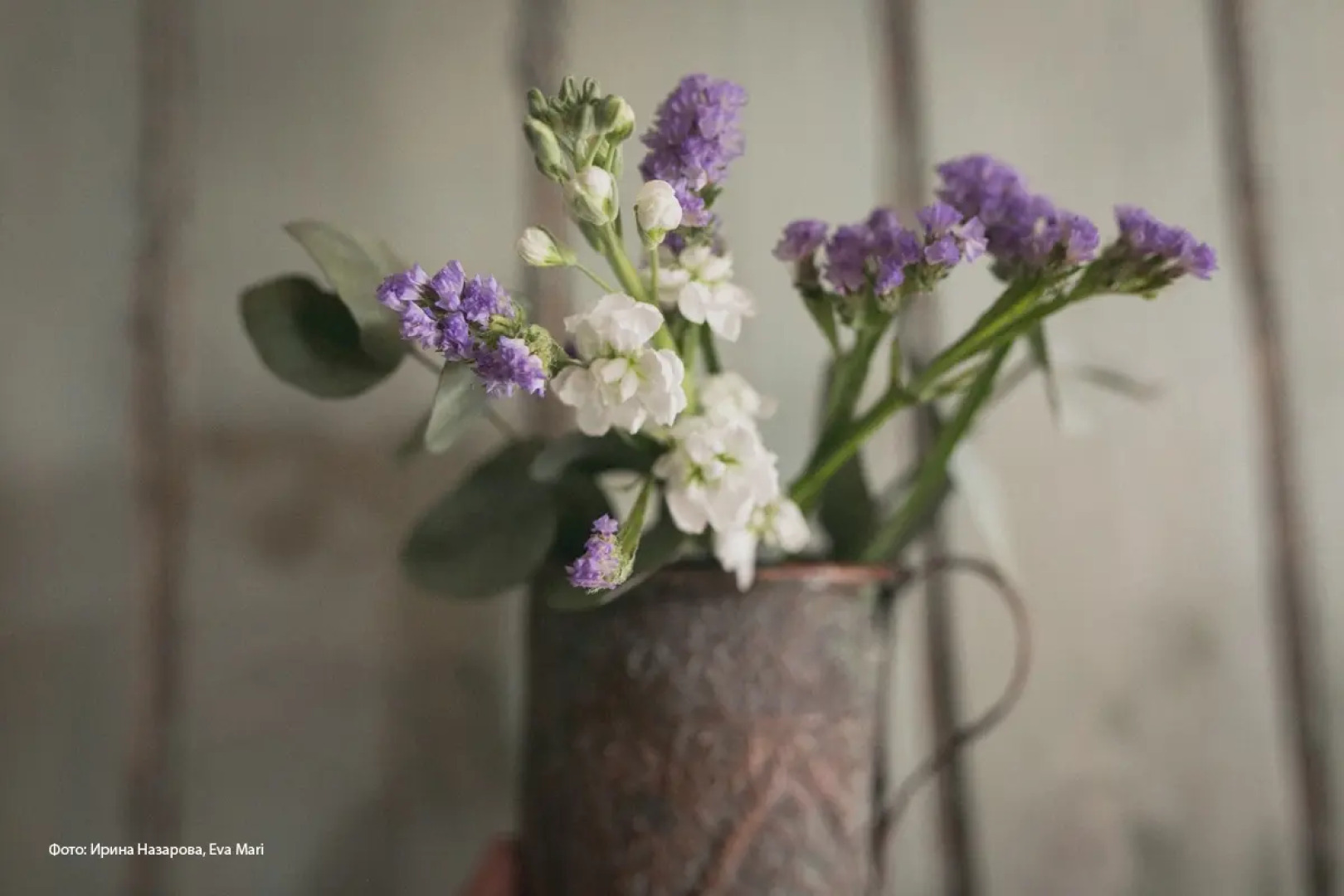 Апартаменты Риза Раёк - старинный дом в центре Суздаля