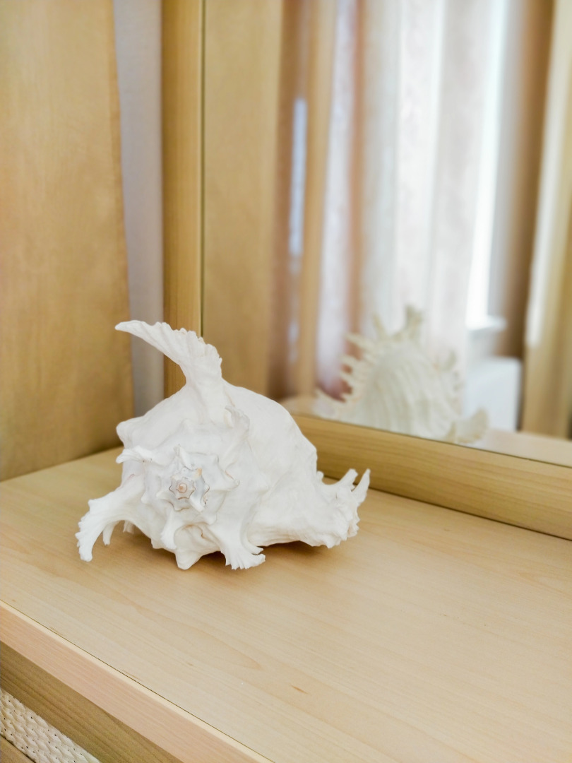 Апартаменты Asian dreams