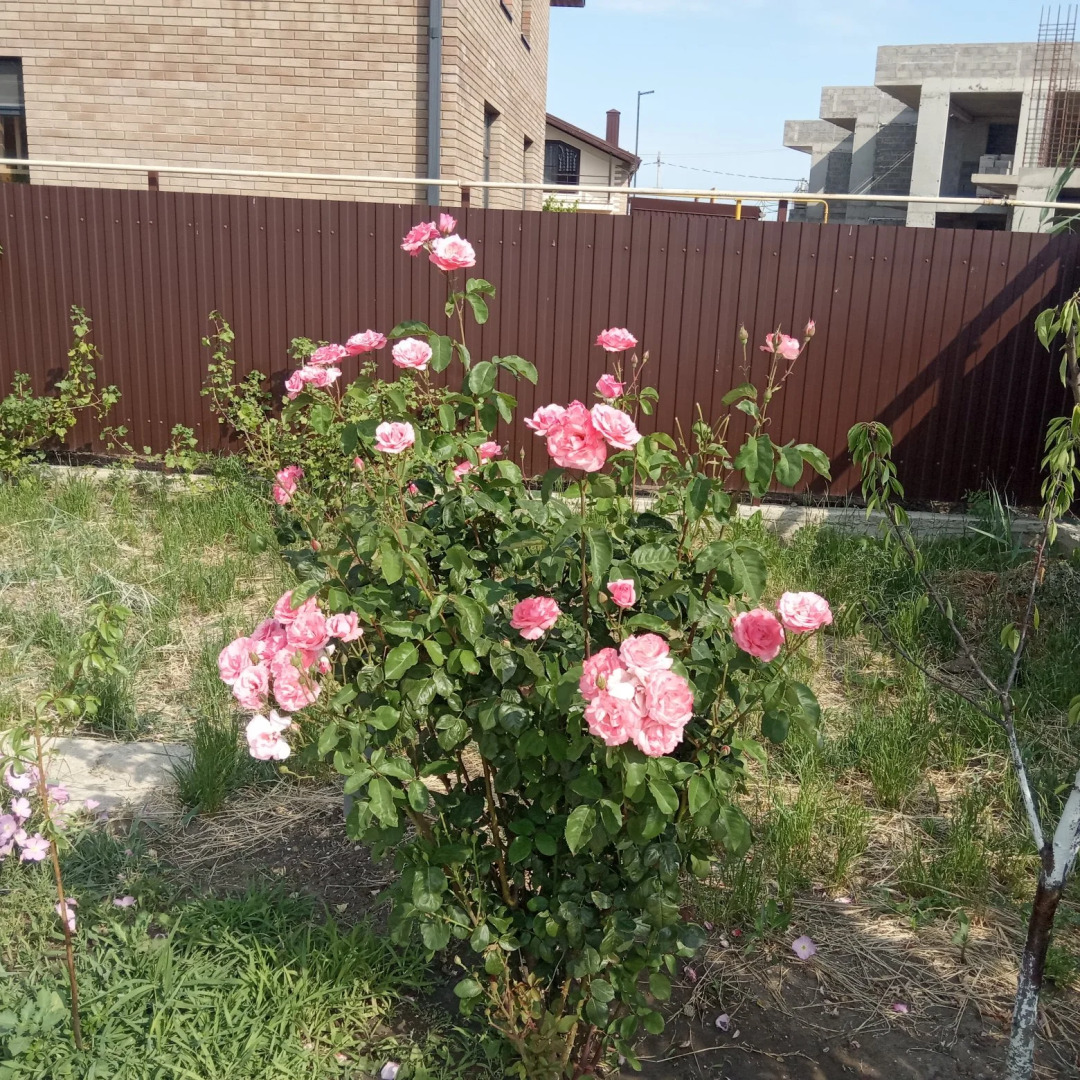 Гостевой дом Илим