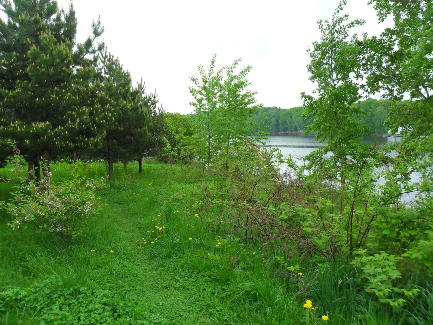 Гостевой домик Слободка 74