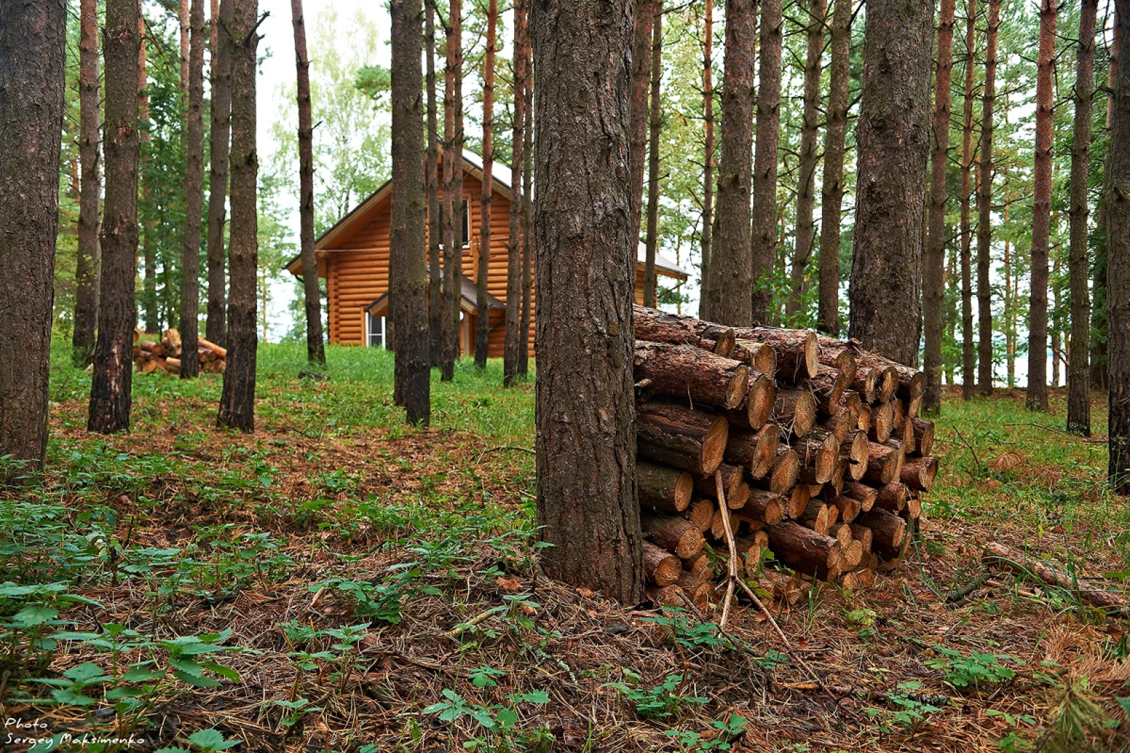 Отель Борвиха