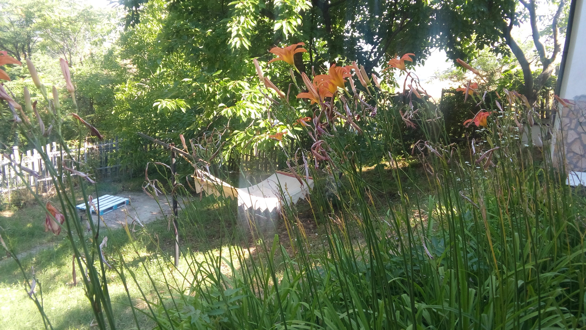 Гостевой Дом Вишневый сад