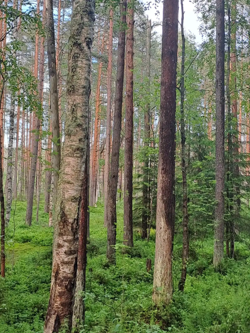 Частный дом У Залива