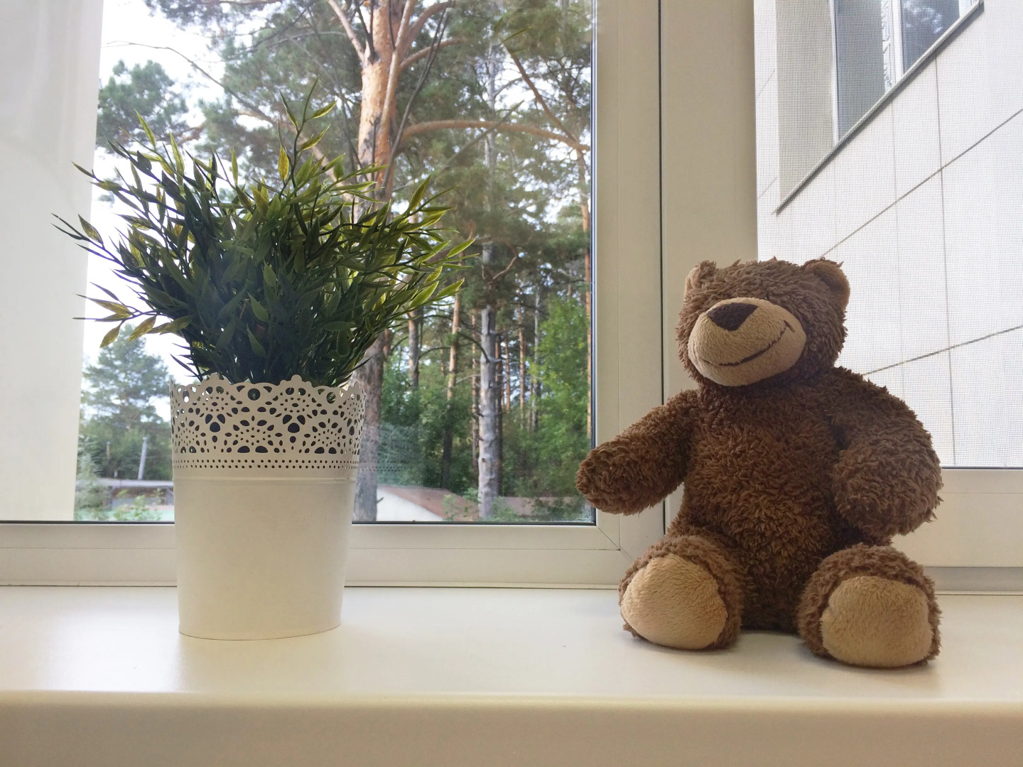 Хостел Плюшевый Мишка