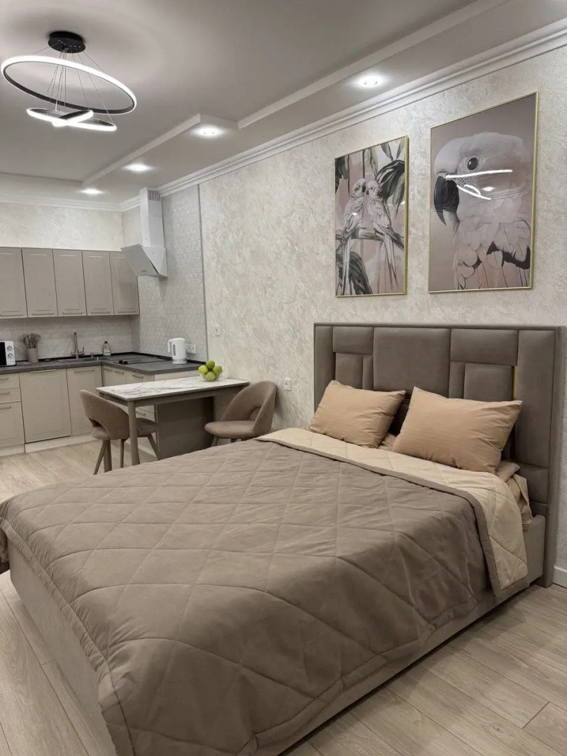 Квартира Уютная Студия Попугаи