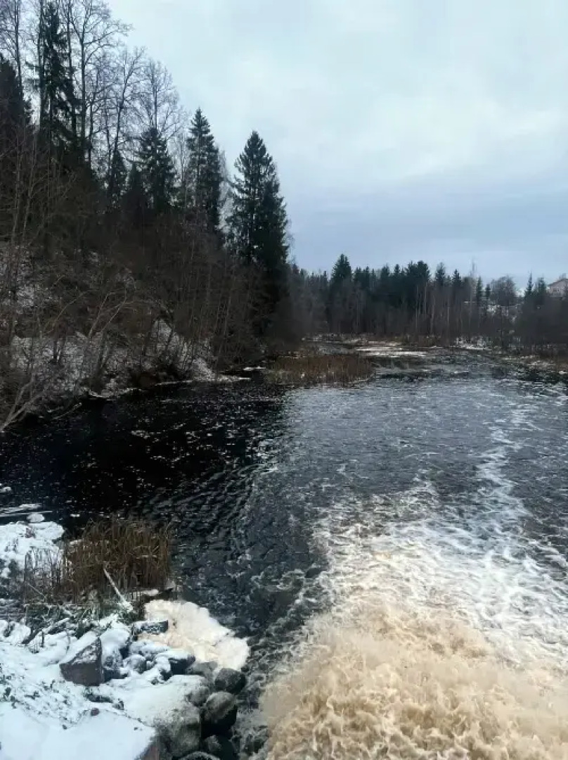 Гостевой дом Пеликан 1