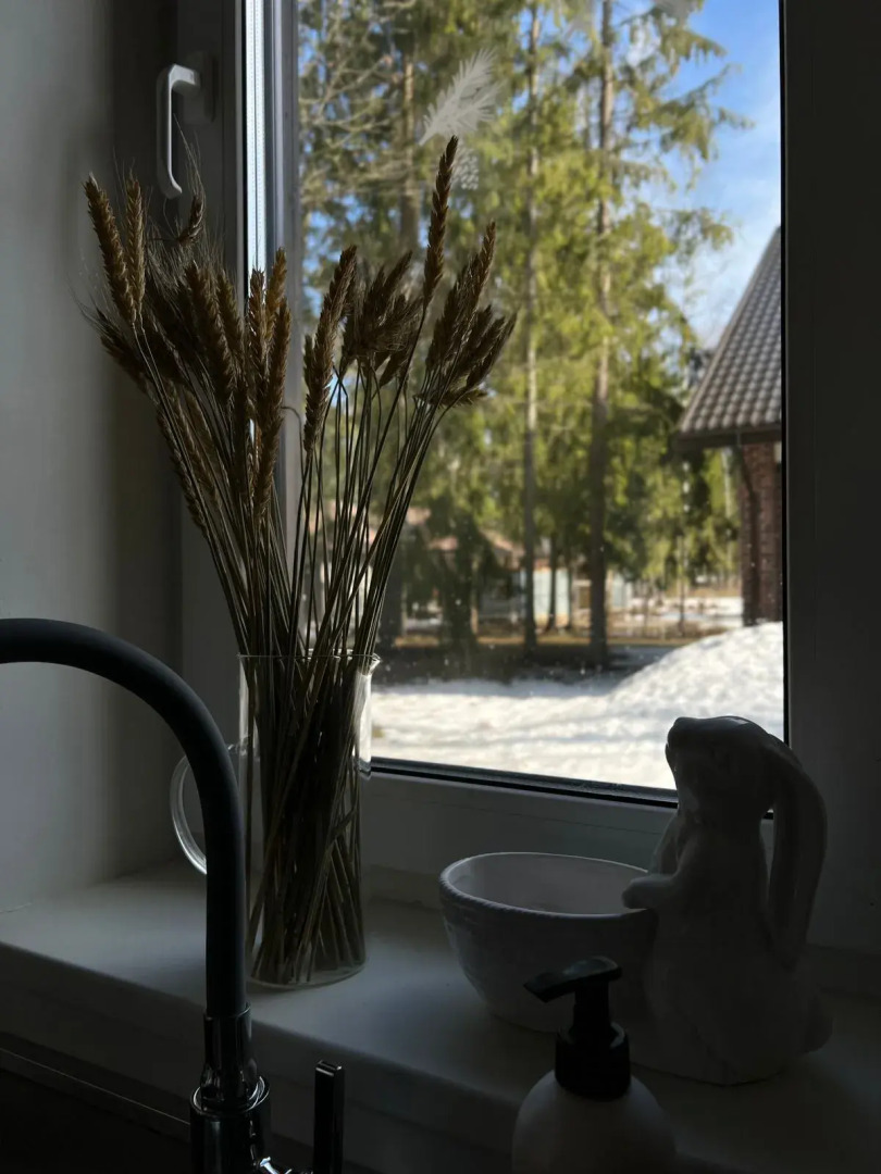 Частный дом с Камином в Сосновом Лесу