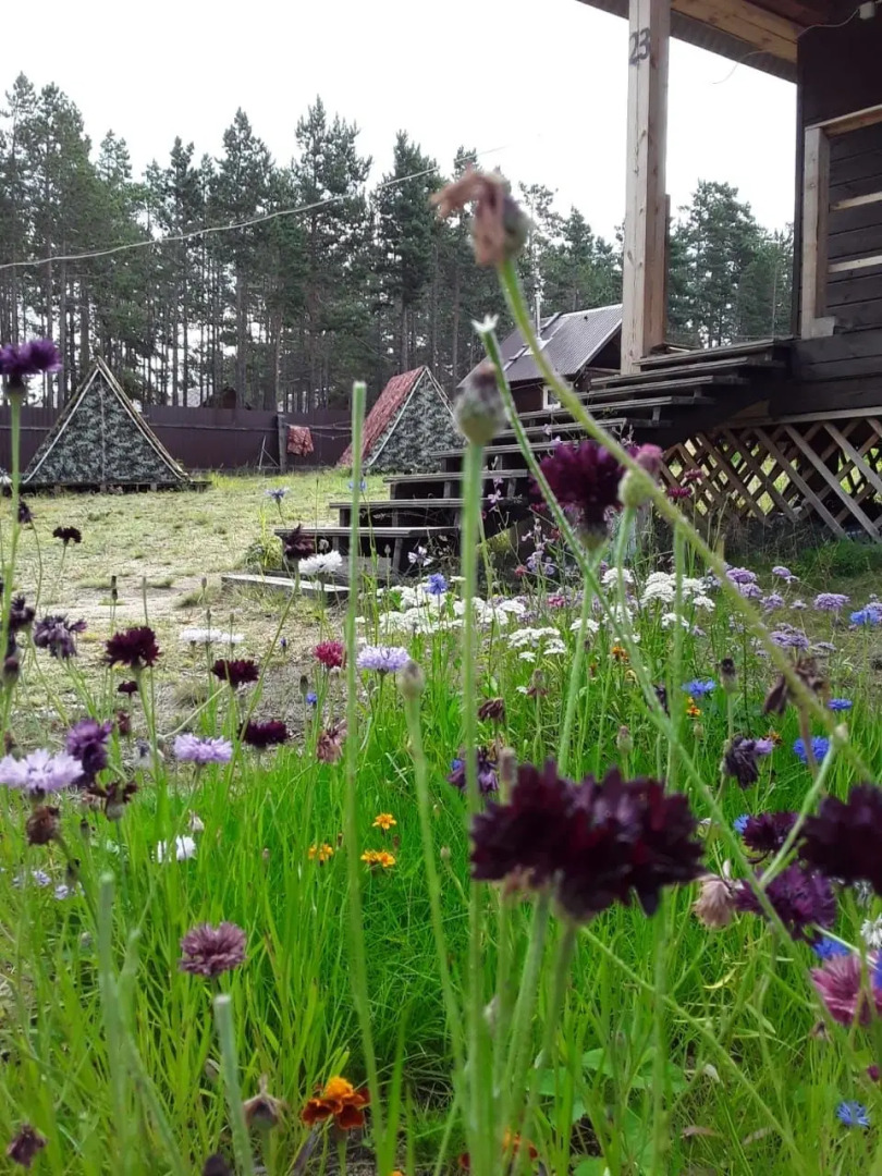 Гостевой дом Family house