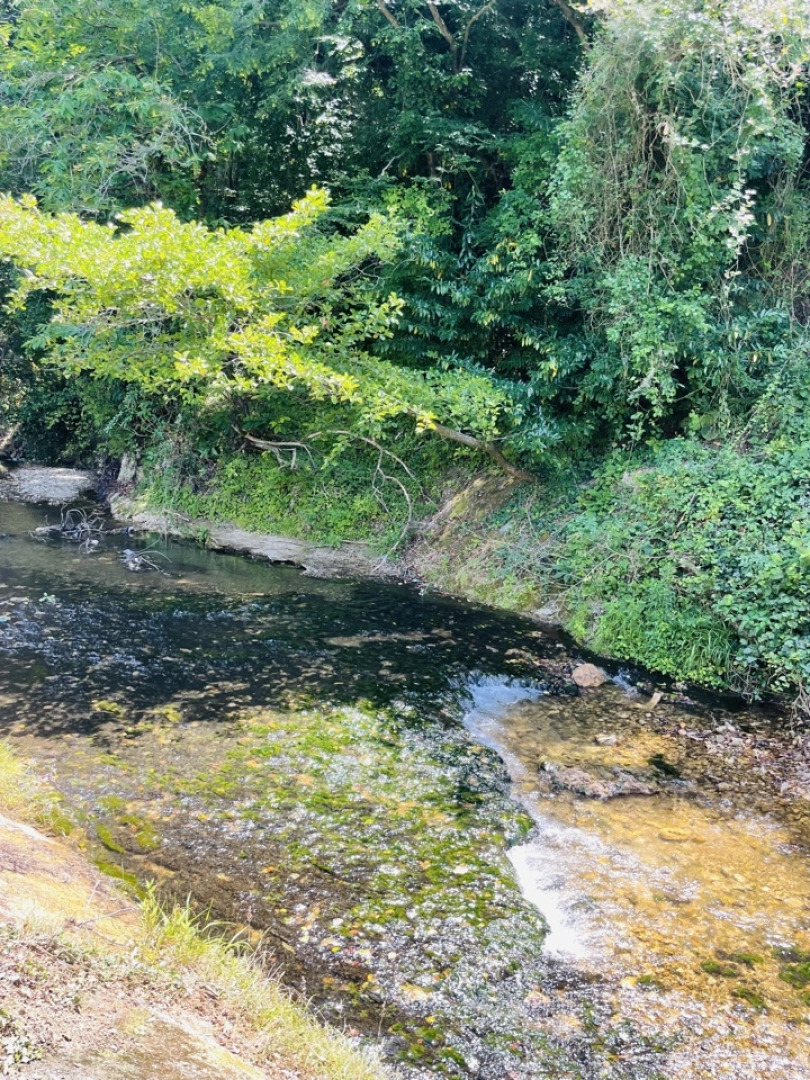 Апарт-отель Вилла Монте Гагра