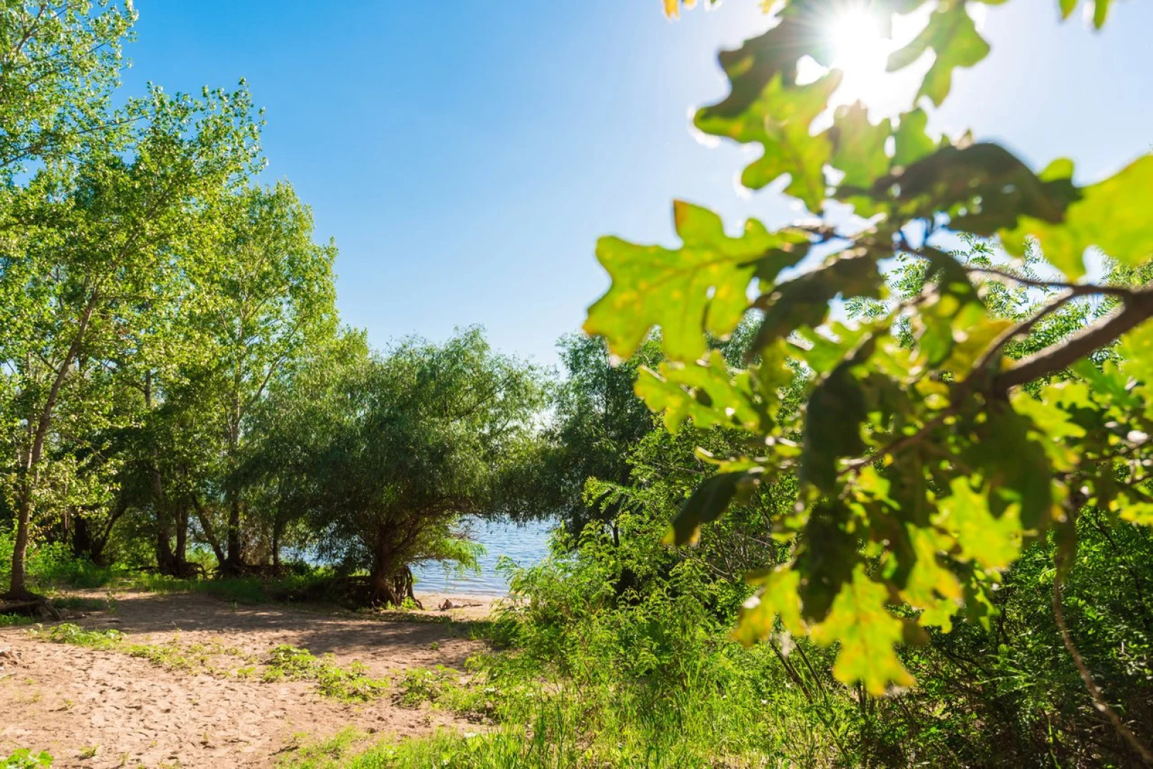 База Отдыха Дача Поддубного