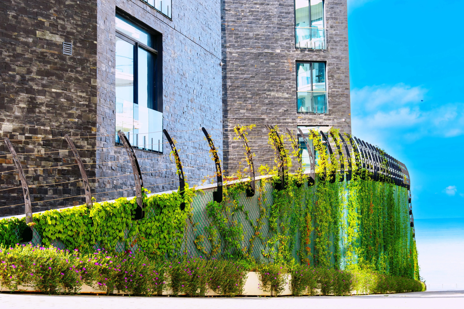 Апартаменты Лазурные в Лучезарном