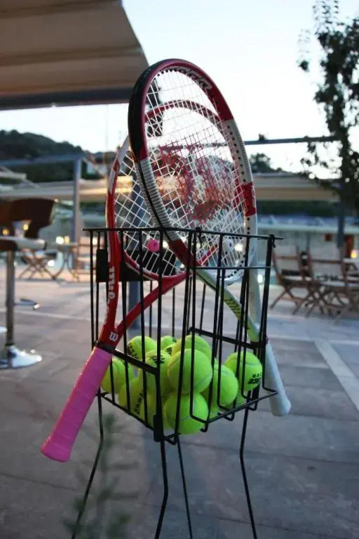 Отель Alexander Mountain Resort