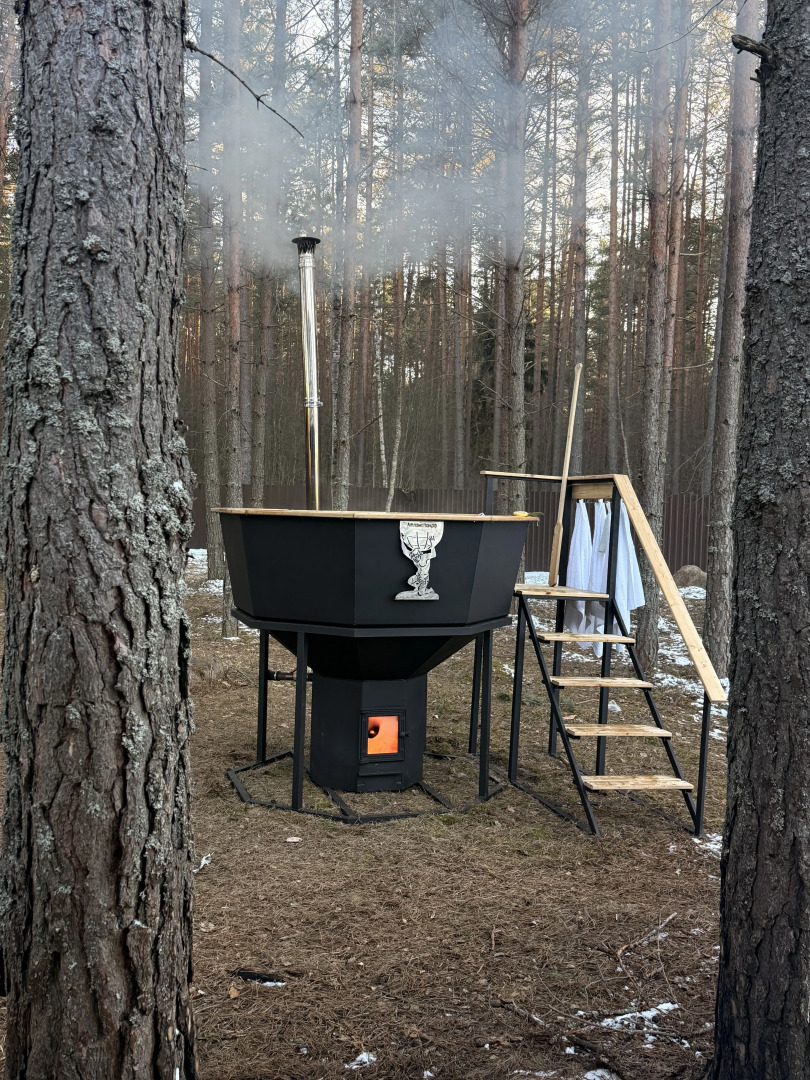 Частный дом с баней