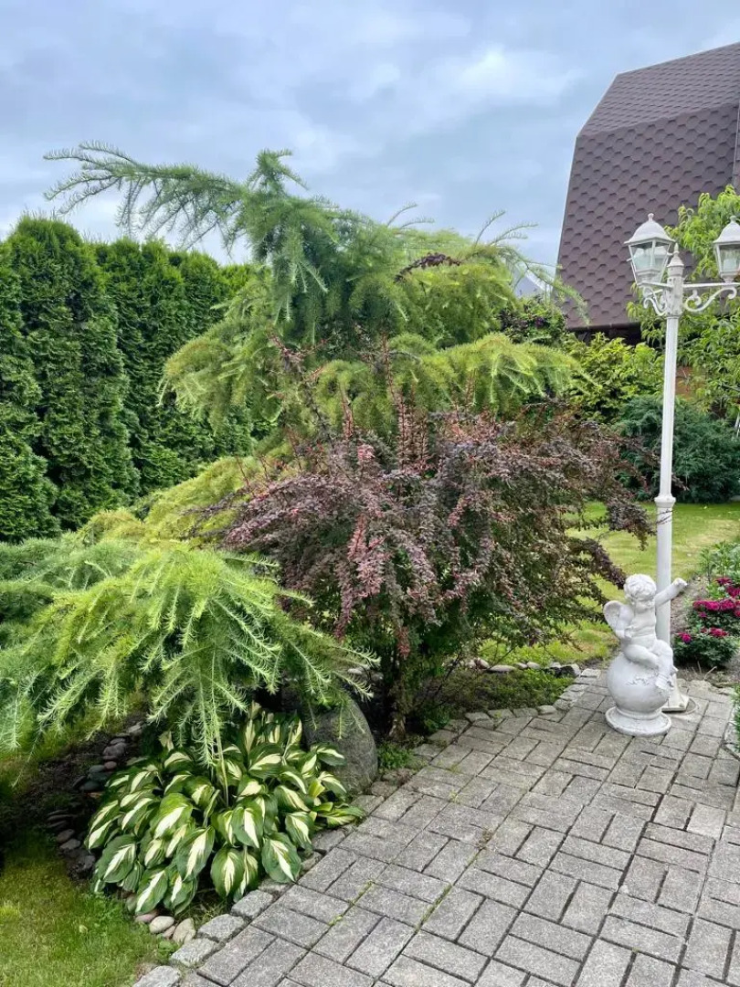 Гостевой дом Клавдия