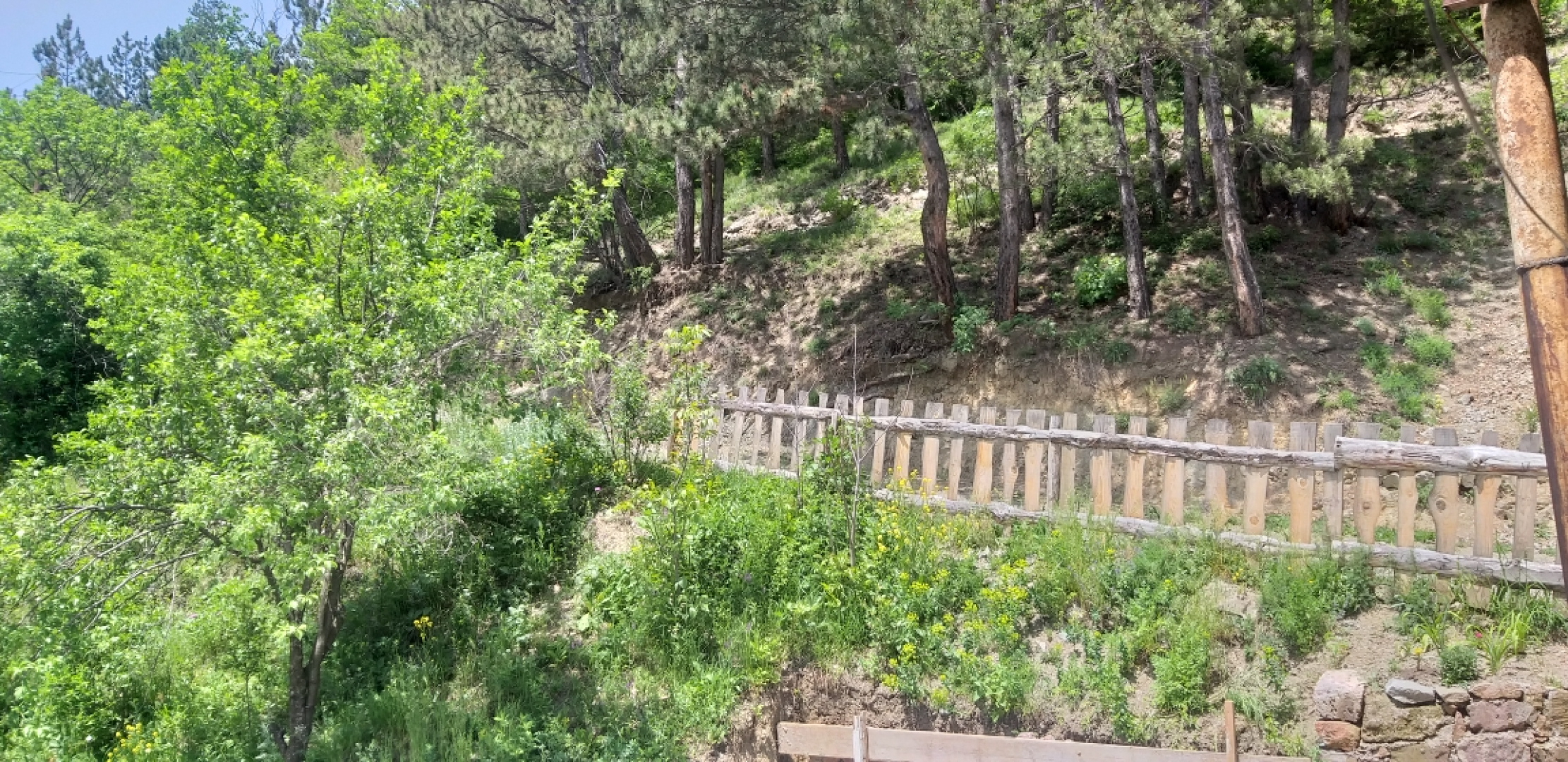 Гостевой дом ARAMY GUESTHOUSE