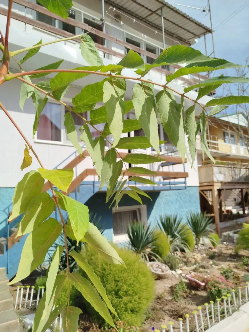 Отель Домик у моря