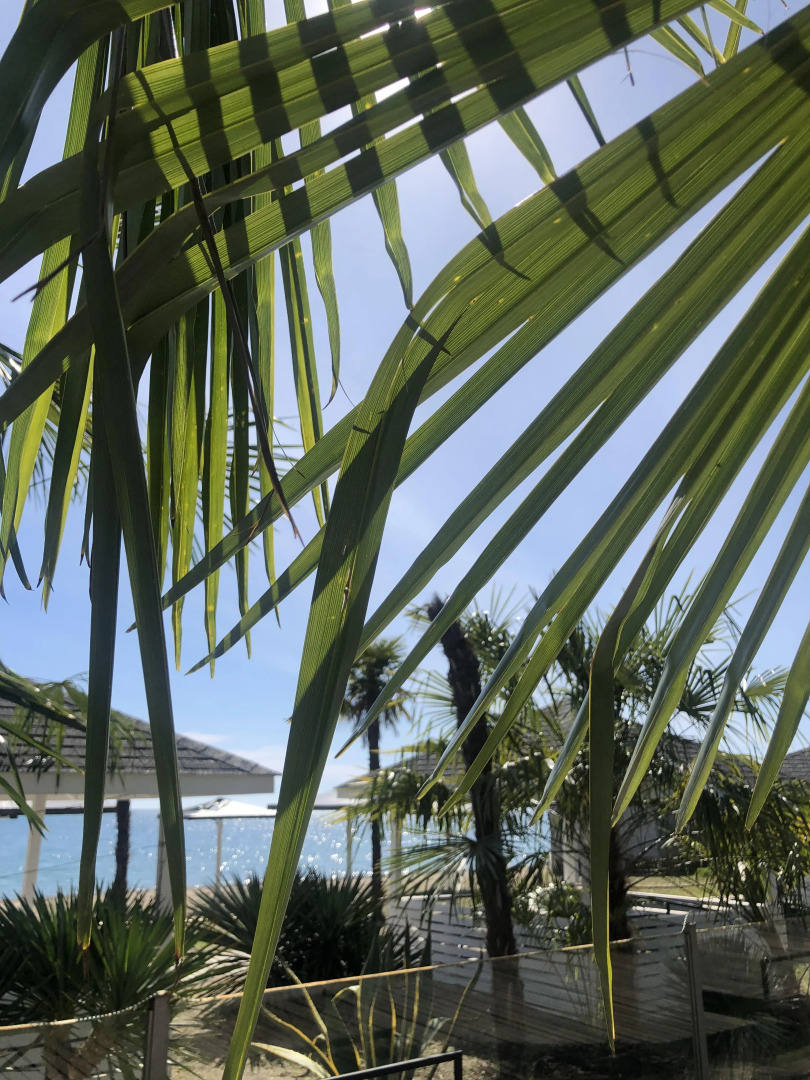 Мини-отель Del Mar