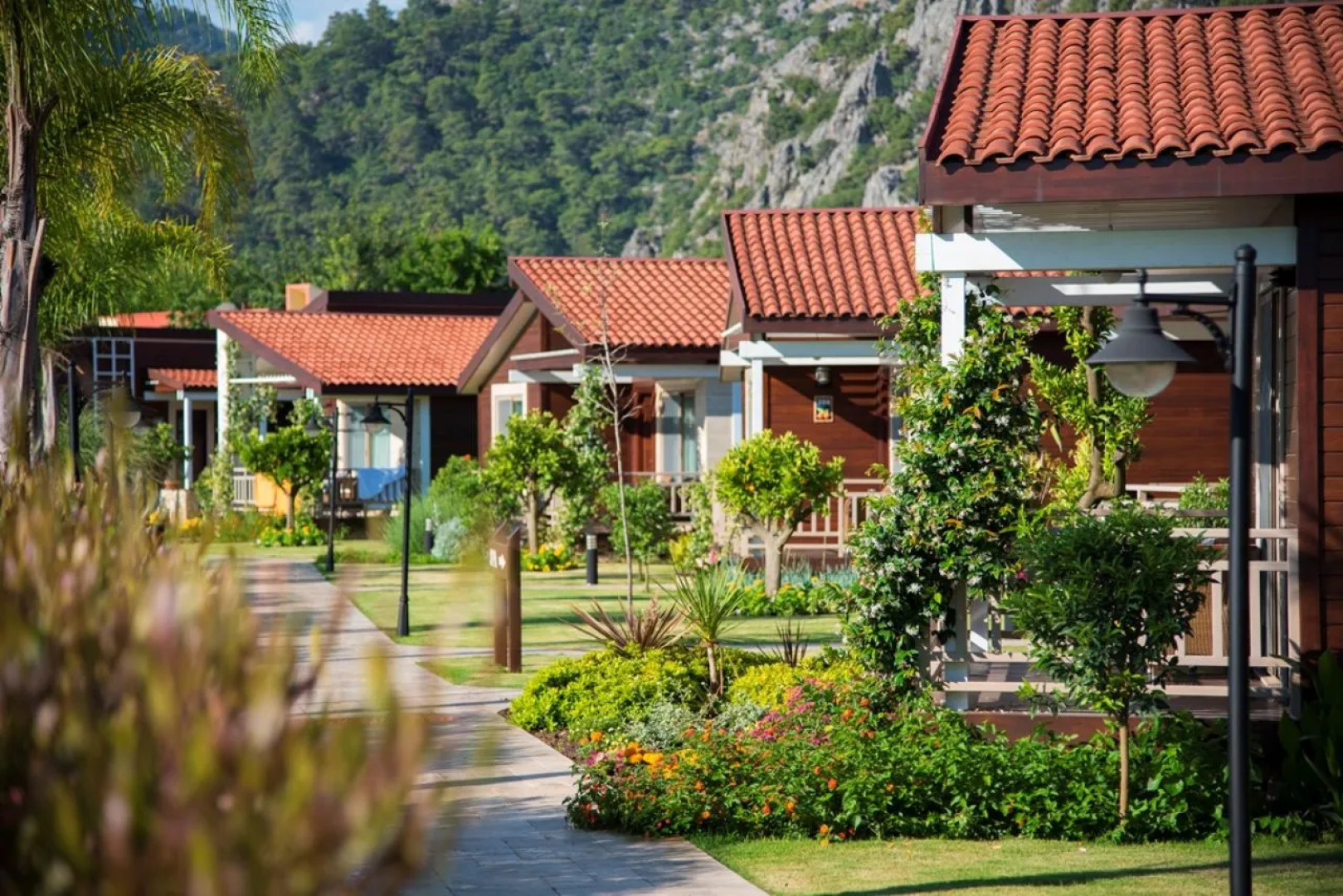 Отель Kimera Lounge