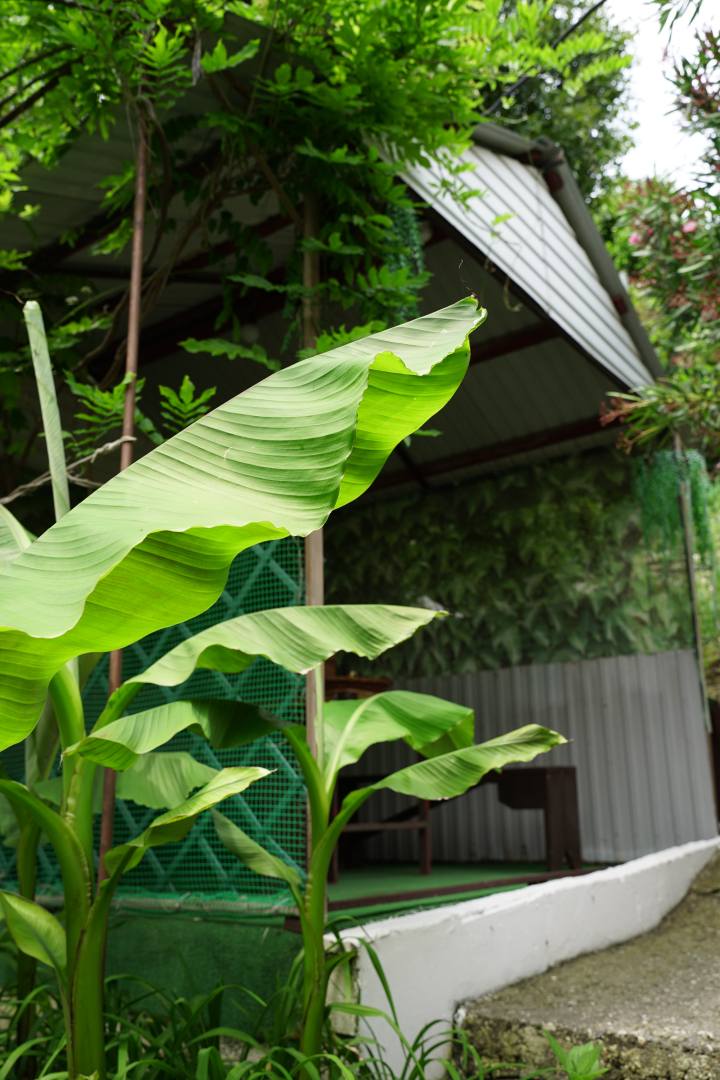 Гостевой дом Лаза